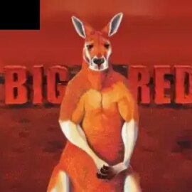 Big Red (Aristocrat)