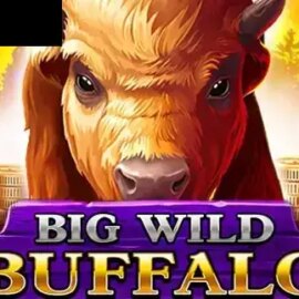 Big Wild Buffalo