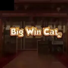 Big Win Cat
