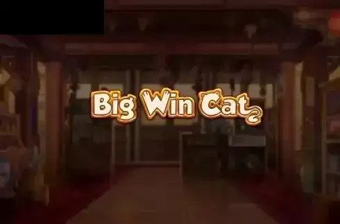 Big Win Cat