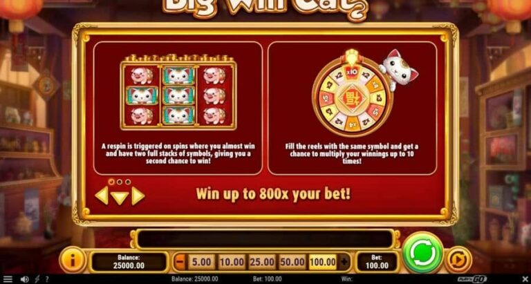 Big Win Cat