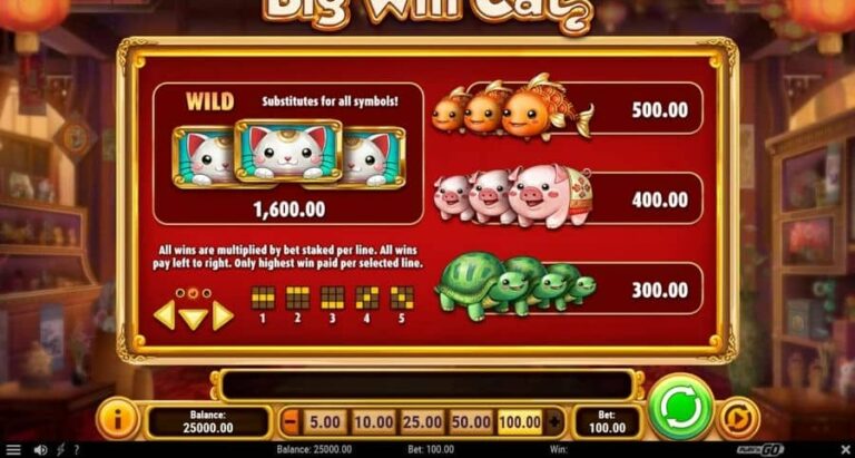 Big Win Cat