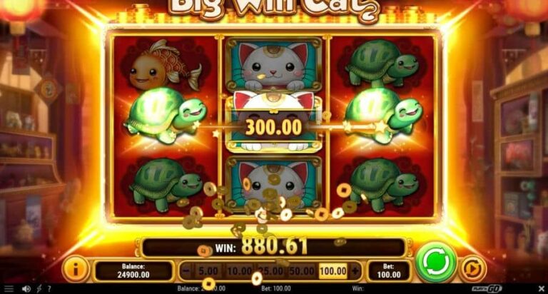 Big Win Cat