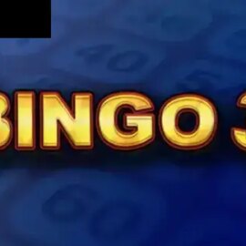 Bingo 3