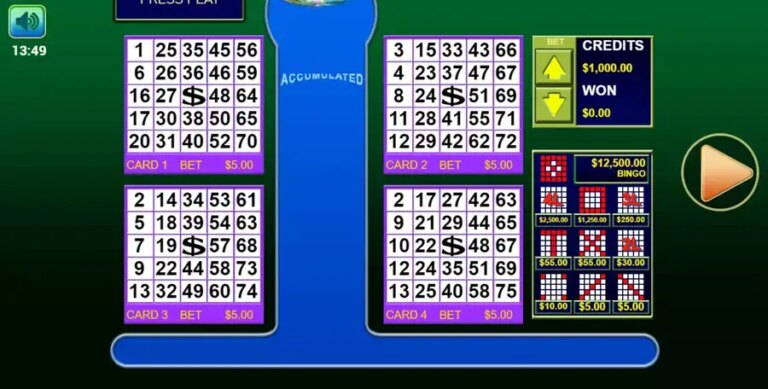 Bingo 3