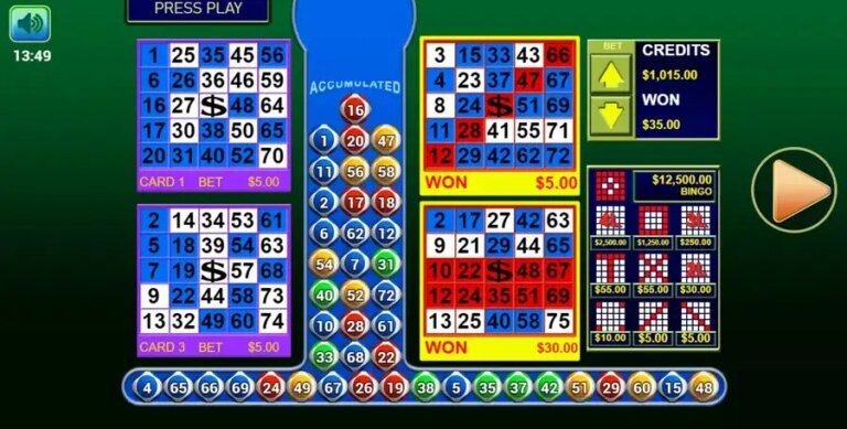 Bingo 3