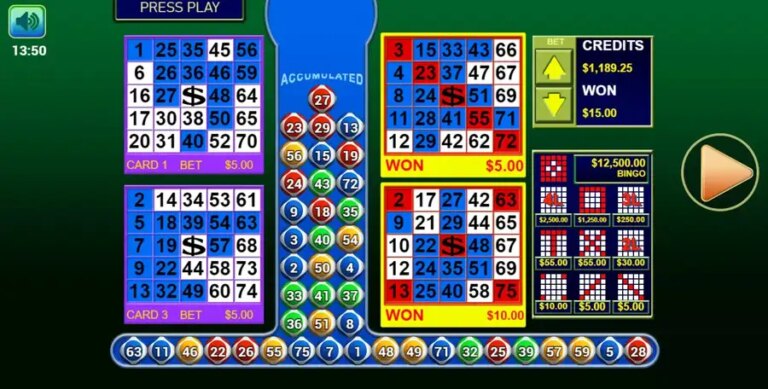 Bingo 3