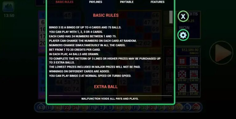 Bingo 3