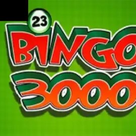 Bingo 3000