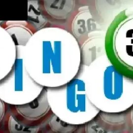 Bingo 37