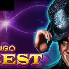 Bingo Best