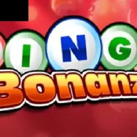 Bingo Bonanza