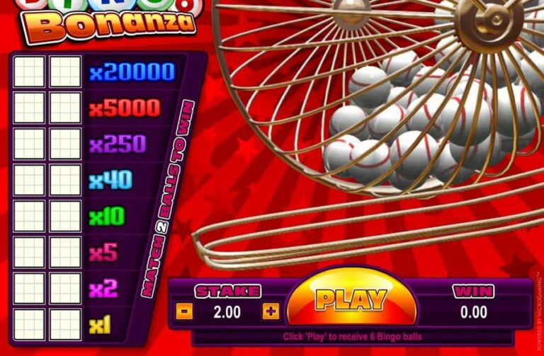 Bingo Bonanza
