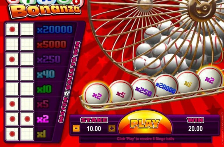 Bingo Bonanza