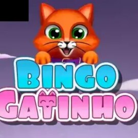 Bingo Gatinho