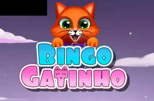 Bingo Gatinho
