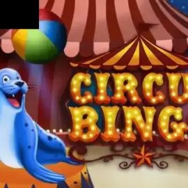 Bingo Circus (Caleta Gaming)