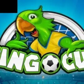 Bingo Cup