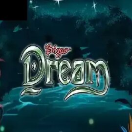 Bingo Dream