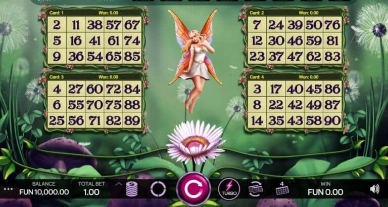 Bingo Fada da Fortuna