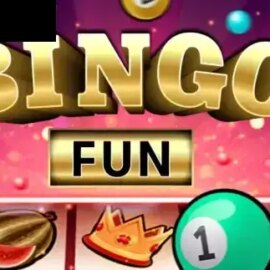 Bingo Fun