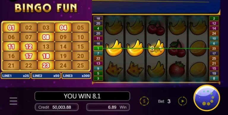 Bingo Fun
