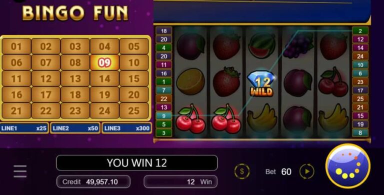 Bingo Fun