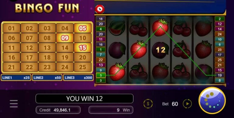 Bingo Fun