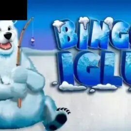 Bingo Iglu