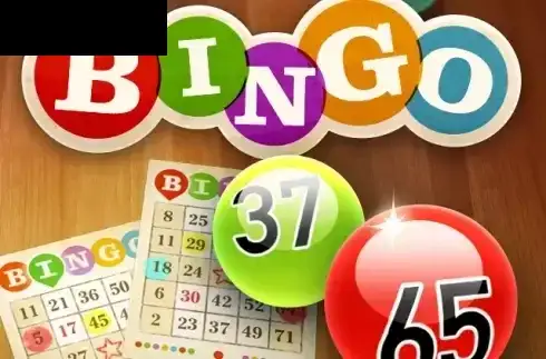 Bingo (Spigo)