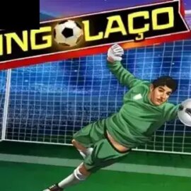 Bingolaco