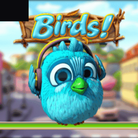 Birds!