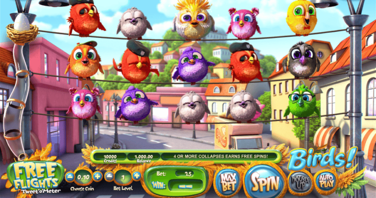 Birds!