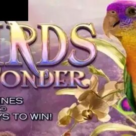 Birds of Wonder