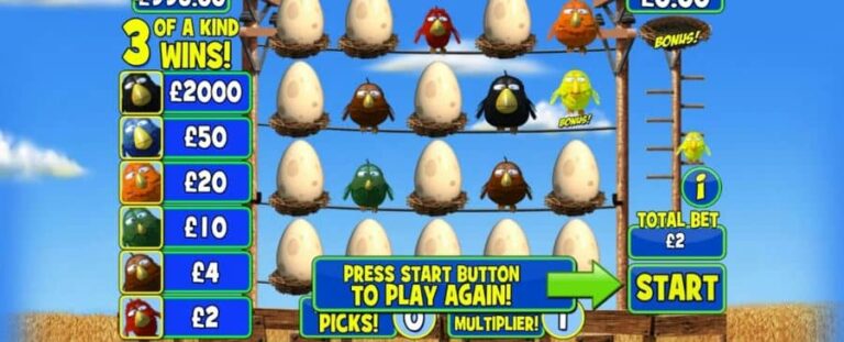 Birdz Instant Win