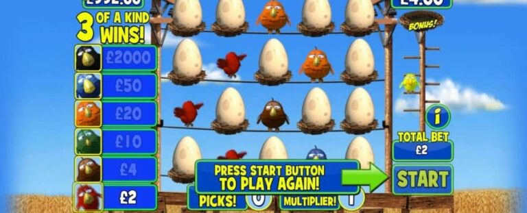 Birdz Instant Win
