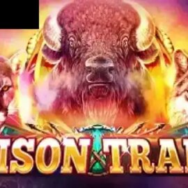 Bison Trail