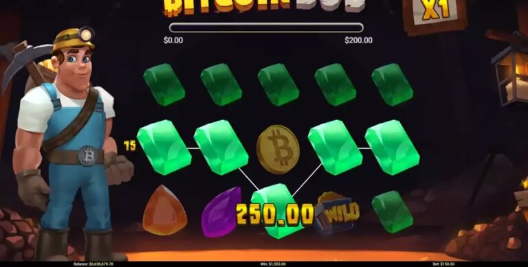 Bitcoin Bob