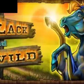 Black And Wild