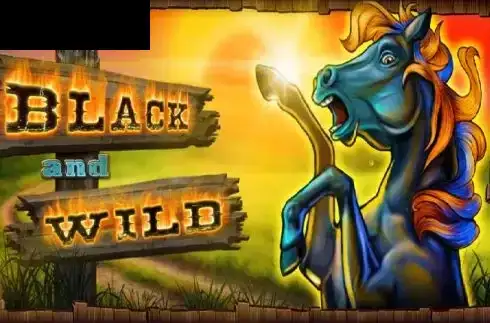 Black And Wild