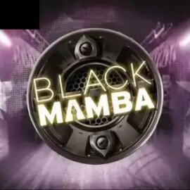 Black Mamba