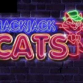 Blackjack Cats