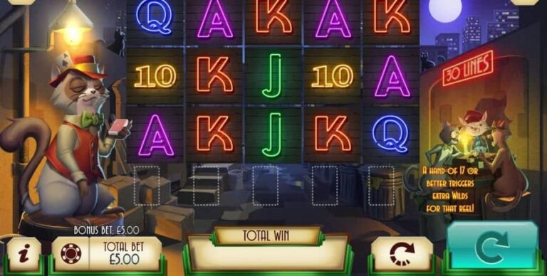 Blackjack Cats