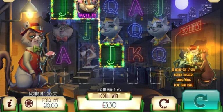 Blackjack Cats