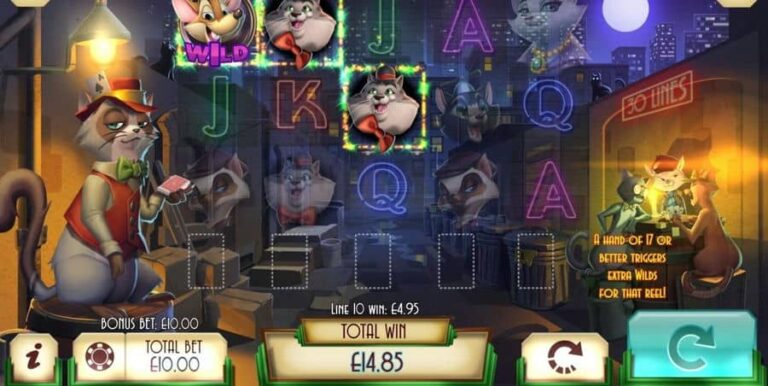 Blackjack Cats