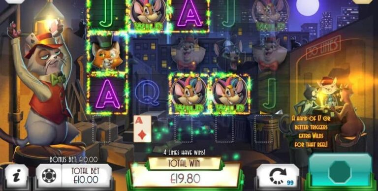 Blackjack Cats