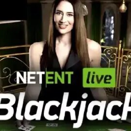 Blackjack Standard Live Casino