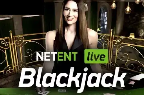 Blackjack Standard Live Casino