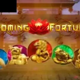 Blooming Fortunes