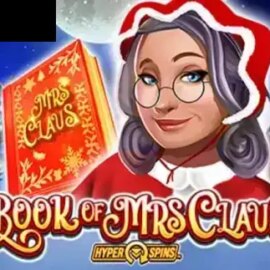 Book Of Mrs Claus